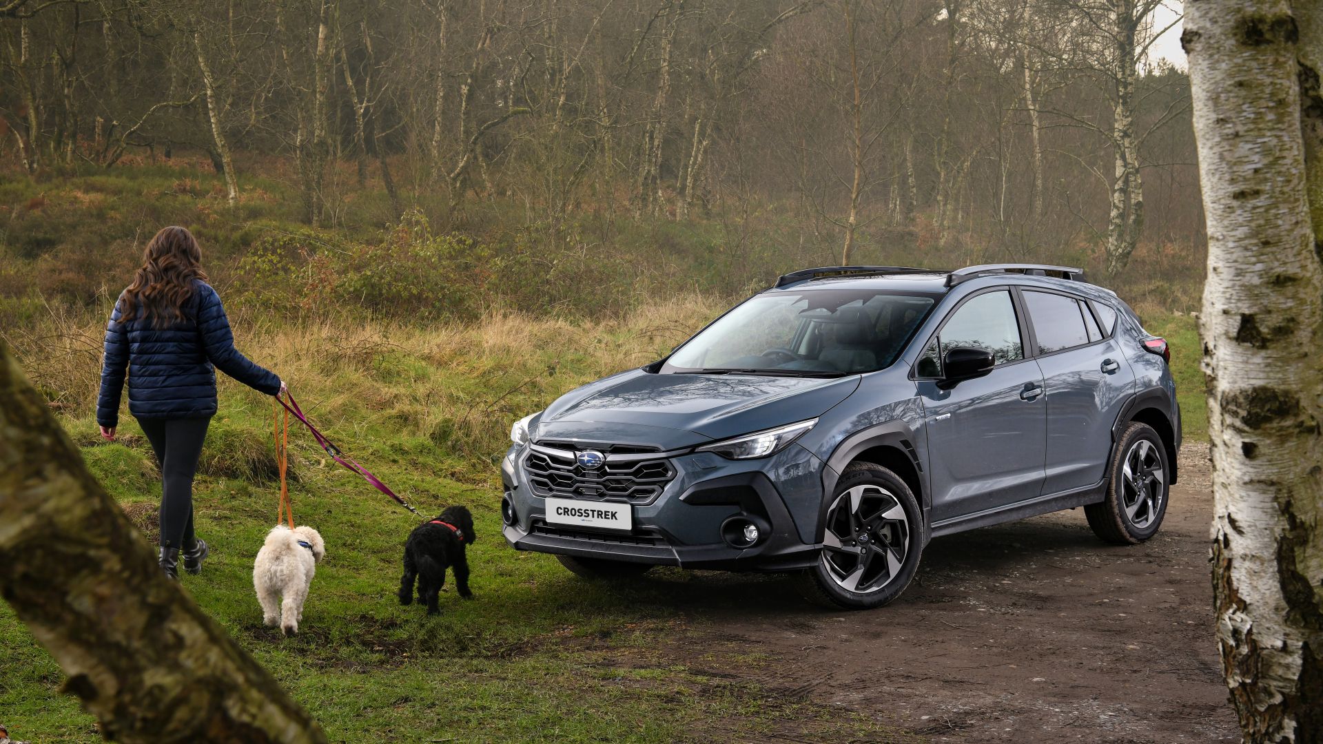 Subaru UK highlights the importance of safety when travelling with dogs