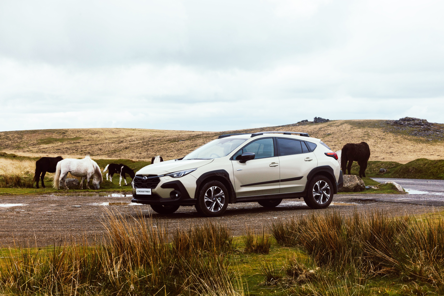 Subaru UK announced as official Travel Partner of Macmillan Cancer Support Mighty Hikes