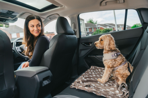 Drivies! Book a test drive with your dog on International Dog Day, with Subaru UK & Ireland